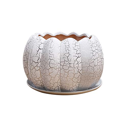 Pot à citrouille perforée YRYRYW drainage parfait cactus