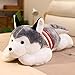WENYING 50-120 CM Huskie Dog Peluche Farcito Adorkable Doggy Animals Cuscino Cuscino per Dormire per Regalo di Compleanno di Ragazze dei ragazzi-120CM,Huskie