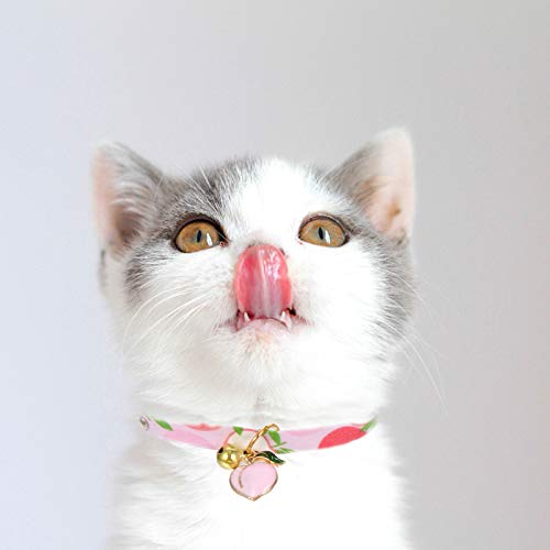 Coleira de fivela de segurança ajustável de sino de frutas para gatos de estimação (estilo aleatório