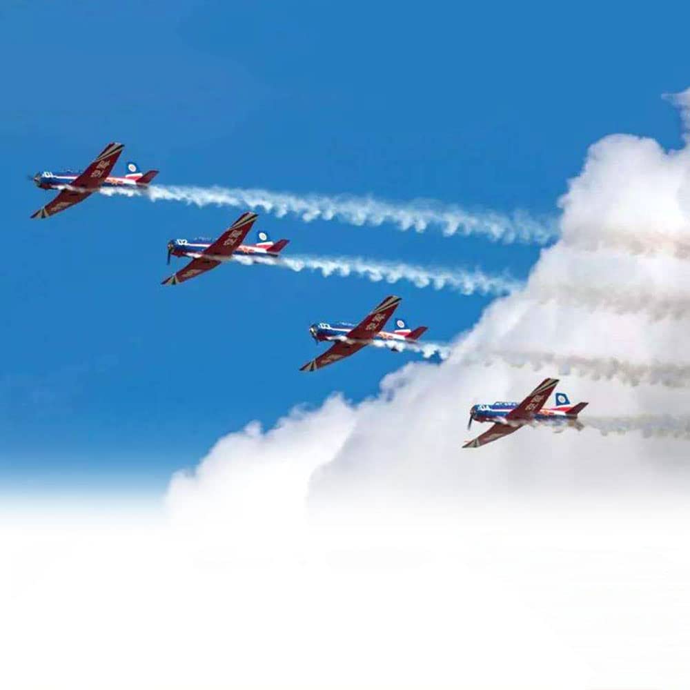 GuyAna Aereo RC Aereo telecomandato a 6 canali, Apertura alare da 1.200 mm (47,2") con Alette e luci a LED, Mostra Aerei RC per Adulti RTF