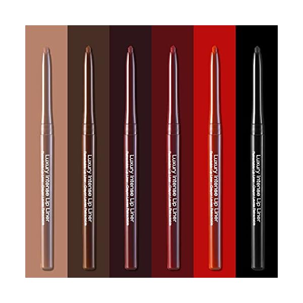 KISS New York Professional Lip Liner, Long-Lasting Luxury Intense Lipliner, Creamy Retractable Easy to Use Richly Pigmented Lip Liner Pencil 3 PCS (Dark Brown)
