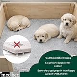 Medbed Standard Hundedecke – Medizinische Liegeunterlage für Hunde | Feuchtigkeitsdurchlässig, Gelenkschonend & Antiallergen | Waschbar bis 95 °C (70 x 100 cm, Grau)