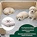 Medbed Standard Hundedecke – Medizinische Liegeunterlage für Hunde | Feuchtigkeitsdurchlässig, Gelenkschonend & Antiallergen | Waschbar bis 95 °C (70 x 100 cm, Grau)