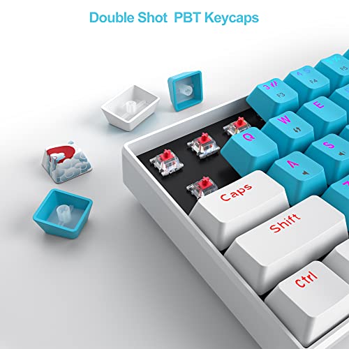 Image of Fogruaden 60 Percent Keyboard Mechanical, Gaming Keyboard 60 Percent, RGB Backlit, Mini Wired 60% Keyboard with Red Switch for Win /Mac PC Laptop (Blue, Red Switch)
