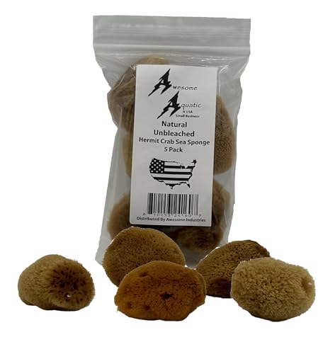 Awesome Aquatic 5 Unbleached Natural Hermit Crab Sea Sponges Water Dish Humidity & Habitat