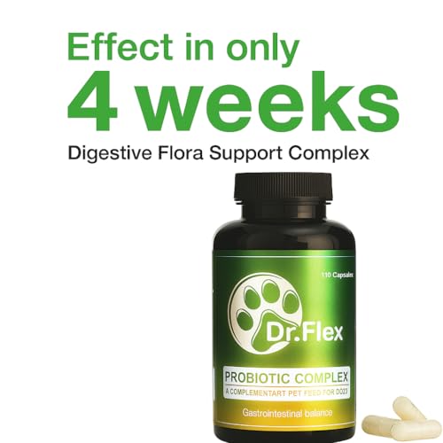 Dr. Flex Probiotika Hund Komplex 110 vegane Kapseln Hochdosiert zur Verdauungsunterstützung und Darmflora Aufbau mit Lactobacillus Acidophilus Lipase Cellulase Protease für Senioren Sensible Hunde