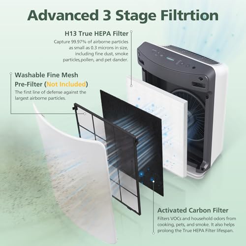 D360 Replacement Filter for Winix D360 Air Purifier - Includes 2 H13 True HEPA Filters and 8 Activated Carbon Pre-Filters