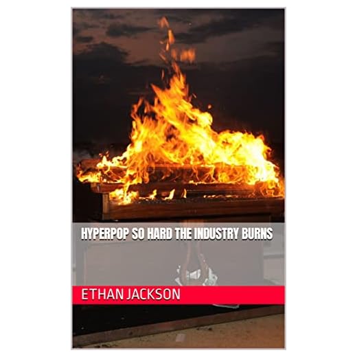 Hyperpop so hard the industry burns (English Edition)