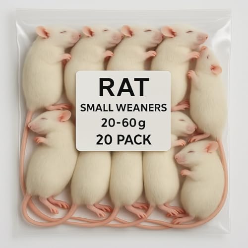 Frozen Small Weaner Rats – 20 Pack (20–60g Each) | Premium Whole Prey for Snakes, Reptiles & Birds of Prey | Individually Frozen Feeder Rats | SiarFrozen