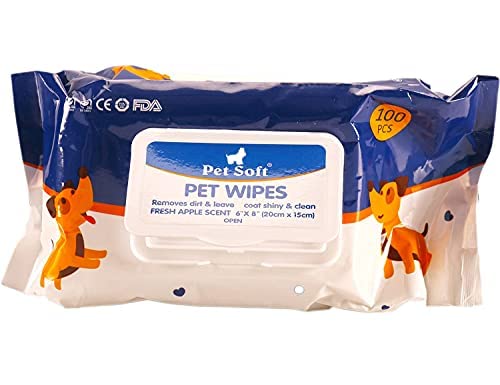 Dog Trust Grooming Wipes for Dogs, Cats, Puppies & Pets - Fresh Apple Scent 6"x 8" Size Pack of 1 (100 Wipes) (B09P5PLS87) Amazon Price History, Amazon Price Tracker