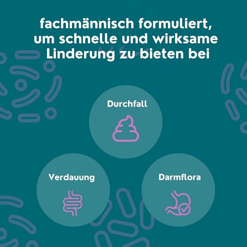 Protum Probiotische Hundepaste 30ml – Präbiotika & Probiotika für Hunde zur Stabilisierung der Darmflora, Unterstützung des Verdauungssystems, schneller Hilfe bei Durchfall Hund für mehr Wohlbefinden