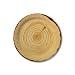 10 Pappteller Holz