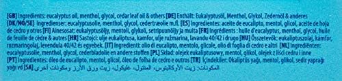 VapoPads Menthol - Tabletki zapachowe z olejkami eterycznymi (VH7)