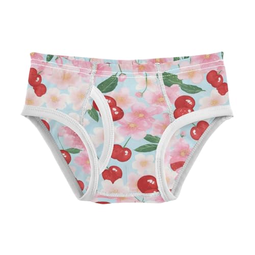 Wusikd Cherry Blossom Boys' Underwear Cotton Cherries Boys Briefs Soft Toddler Underwear 2T
