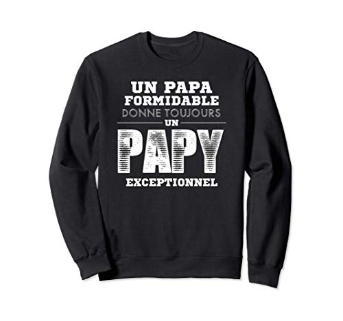Papa Formidable Un Papy Exceptionnel, Meilleur Grand-père Sweatshirt Cover