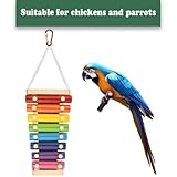 Bird Xylophone Toy - Wooden Musical Birds Toy, Vibrant Cage Hanging Plaything | Fun Parrot Training Toy Interactive Pet Entertainment, Lightweight Colorful Bird Cage Accessory Bird Music Toy - Image 3