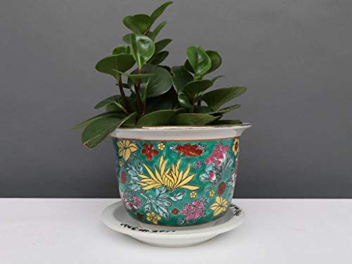 Yajutang Blumentopf mit Untersetzer aus Porzellan Grünmalerei Blumenmotiv Ø 17cm Cover