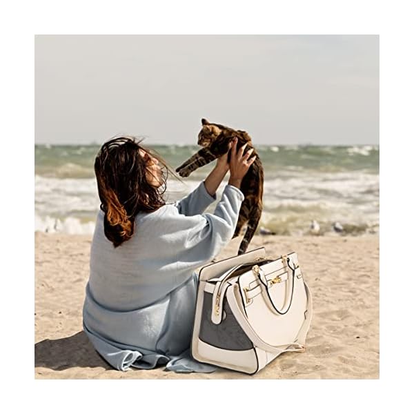 Fashion-Pet-Carrier-Dog-Cat-Carrier-Purse-Soft-Sided-Leather-Handbag-Pet-Tote-Bag-for-Small-Dogs-Puppy-and-Cats-TSA-Airline-Approved TSA Airline Approved Fashion Pet Carrier