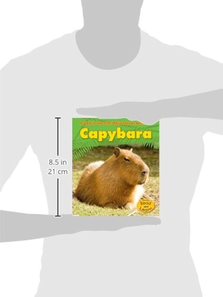 Amazon | Capybara (A Day in the Life: Rain Forest Animals