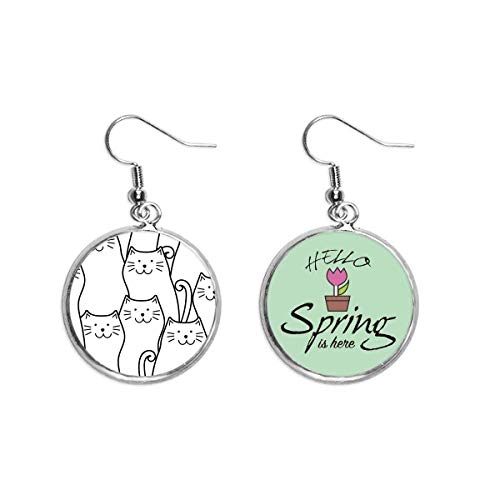 Joyas de gato sonriente el colgante decorativo ideal para un amante de animal y mascota