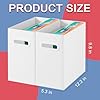 Amazon.com: VZCPYTPM 2 Packs Portable Storage File Boxes,White File ...