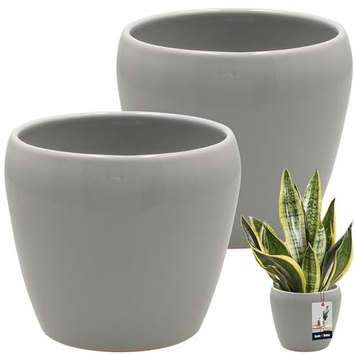 KOTARBAU® 2 St. Blumentopf Grau innen rund ⌀ 13,5 cm H: 14 cm glasierte Keramik Blumentöpfe innen Blumenübertopf Pflanzentopf innen Orchideenübertöpfe Blumentopf groß Flower Pot