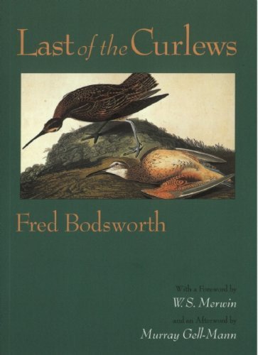 Last of the Curlews by Bodsworth, Fred(May 24, 2011) Paperback
