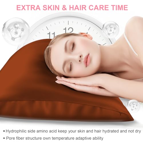 Mulberry Silk Pillow Cases 2 Pack King Size 20x36 Inches with Hidden Zipper, Ultra Smooth and Soft Breathable Cooling Silk Satin Pillowcase Set of 2, Better for Hair and Skin, Gifts for Women Men
