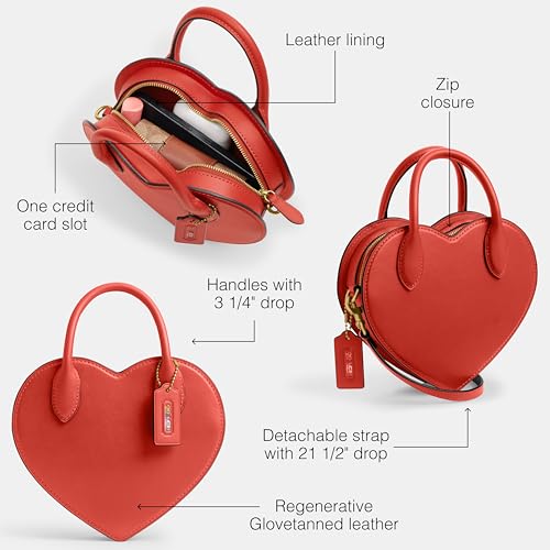 Coach Heart Crossbody Bag3