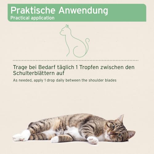 AniForte Ectoprotex cat Spot On für Katzen 50 ml - Zeckenschutz & Parasitenabwehr, langanhaltendes Repellent zur Abwehr von Zecken, Flöhen, Milben, Effektive Zeckenabwehr