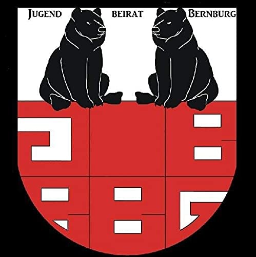Jugend engagiert - Politik in Bernburg mitgestalten cover art