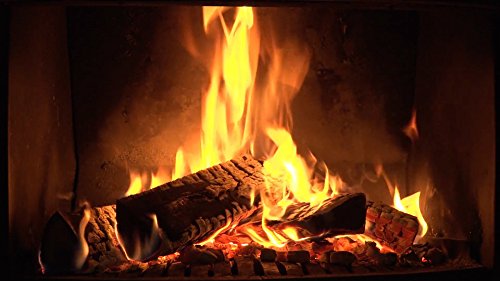 Fire Dvd And Freshwater Fishes Dvd - 2 Dvd Set Fireplace And Freshwater Aquariums 2016 #TOP4