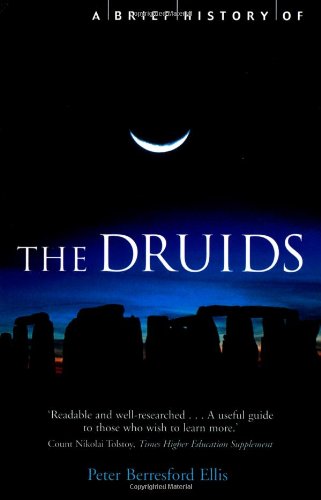 A Brief History of the Druids (The Brief History)