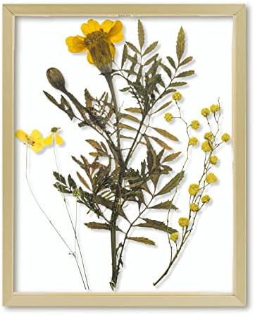 Frametory, Floating Picture Frame 8x10 - Gold Aluminum Metal Phot...