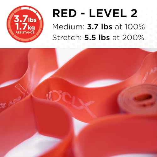 THERABAND CLX Resistance Band with Loops, 5-Foot Band, Red, Medium, Non-Latex, Elastic Band for Exercise, Mobility & Rehab, Stretching, Home Workouts, Color-Coded for Easy Resistance Levels