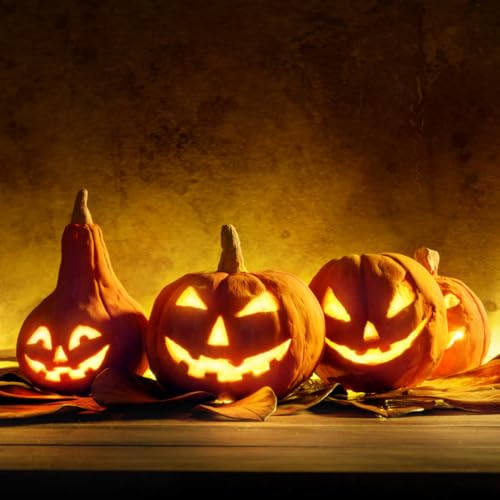 Wet Shaving Talk 2025 Fall Seasonal Special