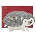 Hallmark Pop Up Birthday Greeting Card (Honeycomb Hedgehog) (599RZQ1002)