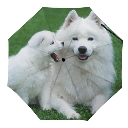 Parapluie pour chien Samoyède pliable pour voyager au sec par tous les temps