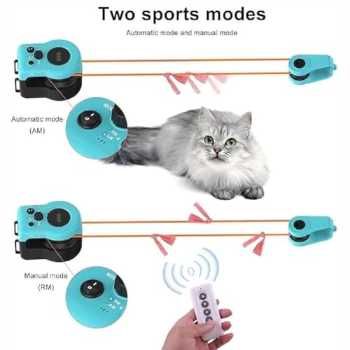 Roue de course pour chat d'intérieur avec tapis roulant d'exercice interactif réglable - 5