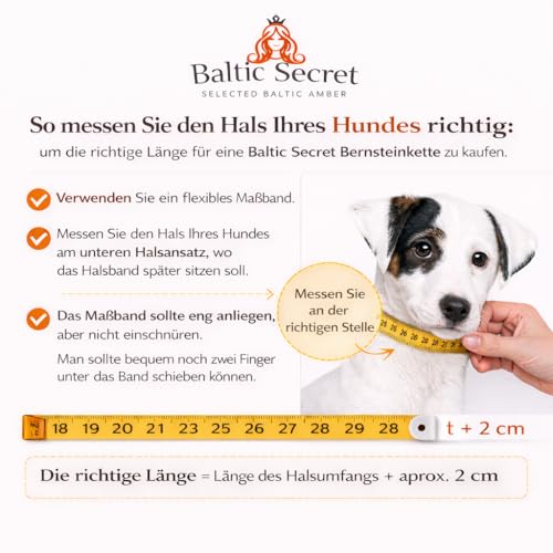 Bernsteinkette Hund | Verstellbares Bernsteinhalsband für Hunde & Katzen mit Lederband | Hundehalsband