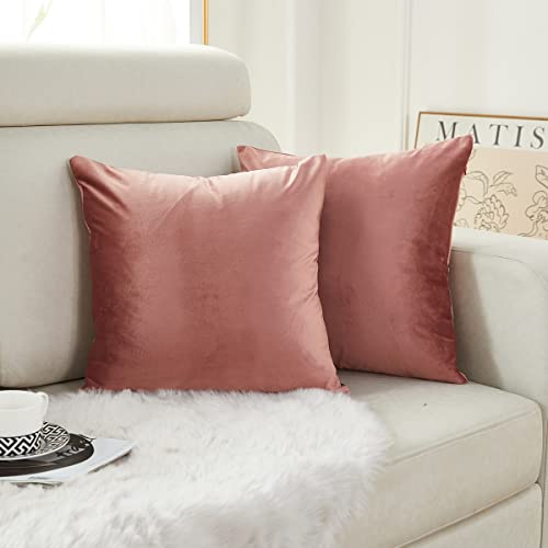 Sunday Praise Velvet Pillow Covers 18x18 Inch Soft Solid Hot Pink Square Decorative Throw Pillow Cases for Sofa Couch Bed Chair,Pack of 2