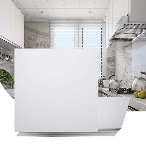 Sunnyglade 12-Pack Drop Ceiling Tile 2ft x 2ft, Smooth White