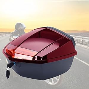 41lfm1ipx4l. sl500 . ss300