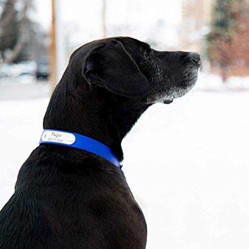 Dogids Personalized Waterproof Soft Grip Dog Collar - Adjustable, Odor Resistant, Rivet On Nameplate - Blue, 5/8 In X 12 In (Fits Neck Sizes 11-13 In) #TOP1