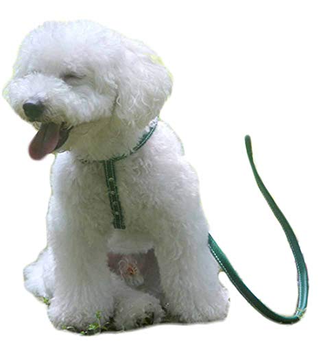 Hundegeschirr Kleine Hunde Leder Verstellbar feiling Hundegeschirr Welpen Brustgeschirr Haustier Ausbruchsicher Katzengeschirr Ledergeschirr Weichem mit 1.3m Hundeleine Leder (Braun)
