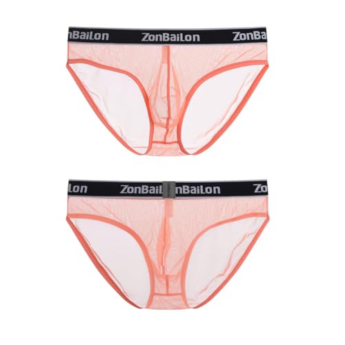 Men's Mesh See Through Briefs Underwear Sexy Transparent Sheer Briefs Ultra Thin