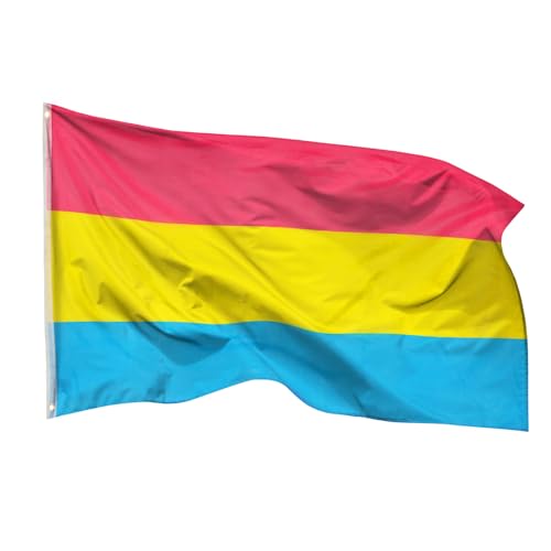 PHENO FLAGS Pan Flagge 90x150cm - wetterbeständige Pride Fahne mit Messingösen, 100% Polyester, robuste Doppelnaht & in lebendigen Farben - ideal für Flaggen-Liebhaber