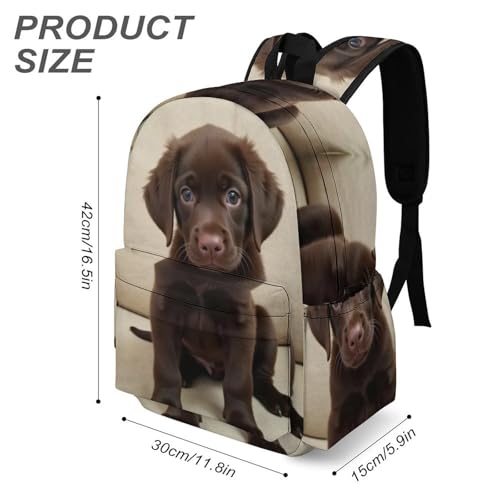 SWEET TANG Funny Backpack for Men Women College Laptop, Lightweight Travel Hiking Backpack Compatible with Puppy Chocolate Lab Backpack for Textbook Bottle3