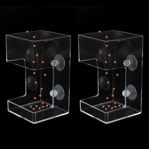 Vtapliea zՕtXNGAtBbVtB[_[ 2 tB[hgC a`[upi ٗpu[_[{bNX