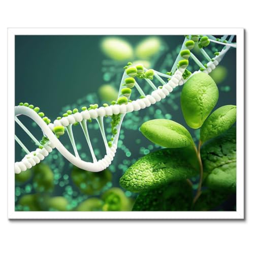 Poster biologie classe école encadré pour mur de bureau
